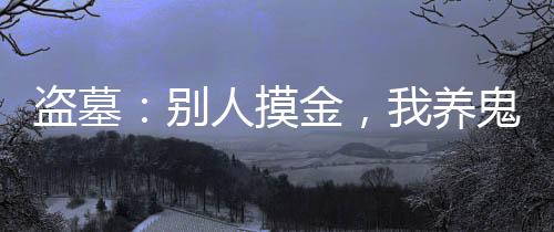 《席爷每天都想官宣》全文在线阅读