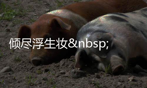 《惊！糙汉老公是年代文隐藏大佬》全文在线阅读