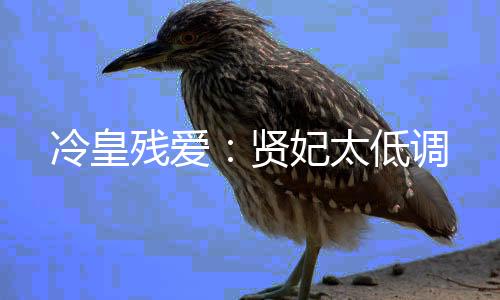 《七零：随军辣媳带飞大院暴富逆袭》全文在线阅读