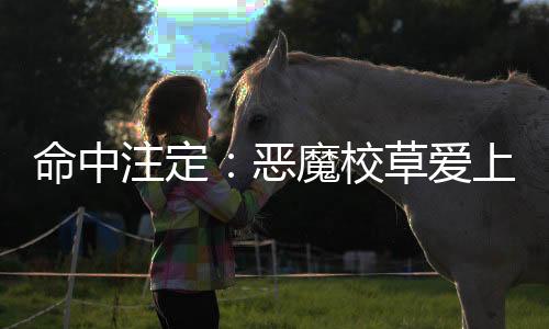 命中注定：恶魔校草爱上倔强丫头