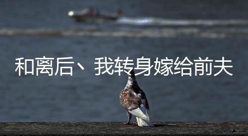 《席爷每天都想官宣》全文在线阅读