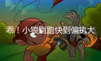 乖！小狼别跑快到