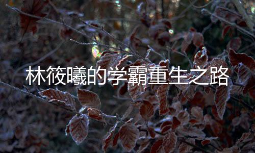 《惊！糙汉老公是年代文隐藏大佬》全文在线阅读