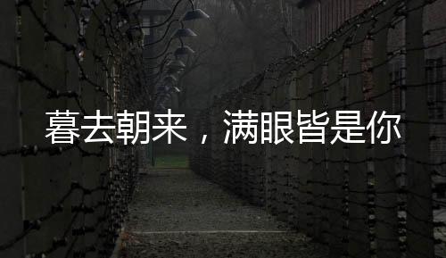 《重生年代，福气包在厂区吃瓜看戏》全文在线阅读