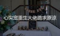 心尖宠重生大佬跪