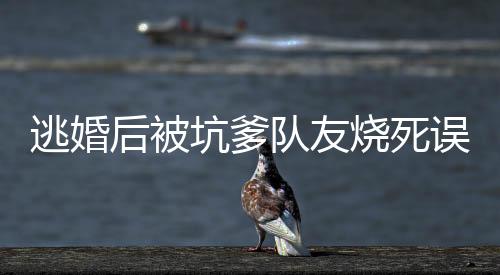 《入夜，娇软乖乖被京圈大佬吻哭了》全文在线阅读