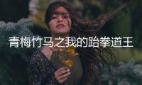 青梅竹马之我的跆
